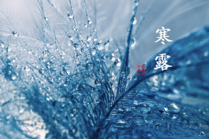寒露 | 天凉了，情深不畏寒露重