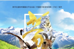 全球连线 | 纪录片《生命共同体——黄河》