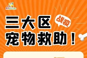【阳光战疫】那些被疫情隔离的“毛孩子”，它们还好吗？