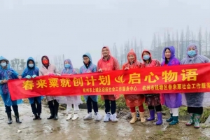 春来粟 启心物语