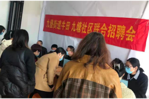 稳就业促就业  托起稳稳的幸福