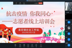 抗击疫情 你我同心——浙江省海宁市袁花镇社工站开展志愿者线上培训活动 ...