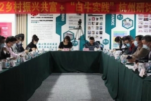 公益头条现场：“2022乡村振兴共富+白牛实践研讨会”在杭举办 ...