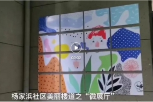 杨家浜美丽楼道“微展厅”上线啦！
