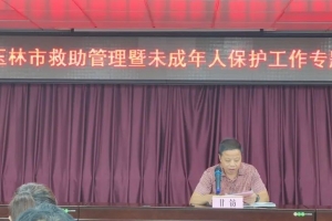 未成年人保护项目|凝聚多方力量，夯实合作基础提升救助管理和未成年人保护服务效能 .. ...