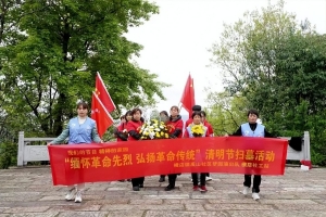 东阳市各街道、乡镇社会工作站举办“清明忆先烈 红色共传承”活动 ... ... ...