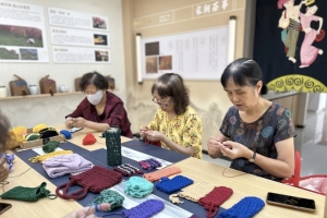 “之江同心·富春石榴红家园”开展非遗绒线手工编织交流活动 ...