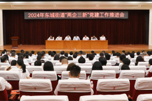 党建荣誉|郑乃清被东莞东城街评为2023年度“两企三新”党建工作“五好”党组织书记 ...