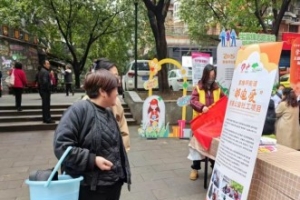 黄桷坪街道“邮电爱”慈善公益社工项目宣传活动
