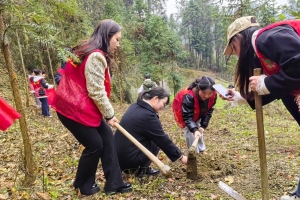 绿动张家界·共植希望林